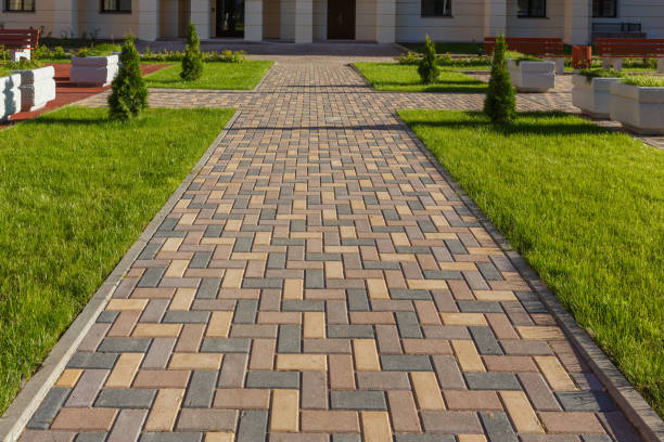 Best Driveway Paving Contractor  in Magnolia, NJ